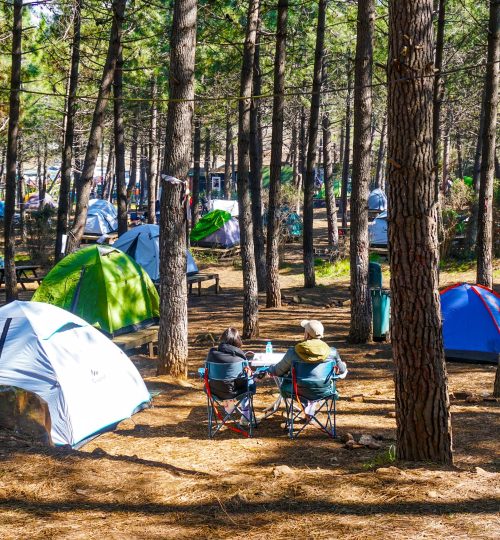 IMG_78F08A-B33183-D0D8B3-925F25-637E2D-9A1144