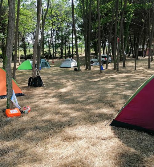 cinarsuyu-tabiat-parki-kamp-alani-nerede-cinarsuyu-tabiat-parki-kamp-alanina-nasil-gidilir